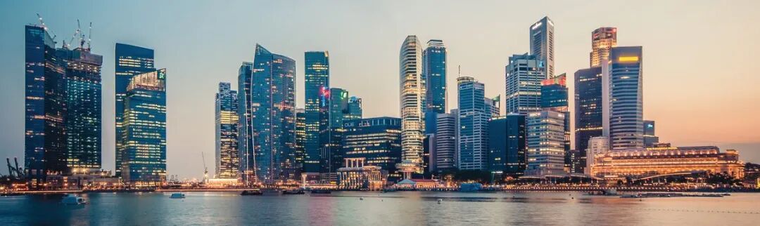 新加坡离岸商业主体法定治理与合规全景图